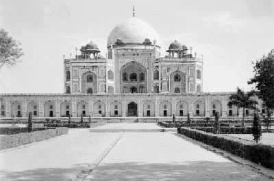 ����Ӻ��