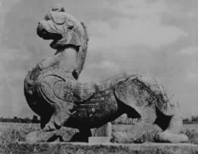 ��������Ӿ�����ʯ����