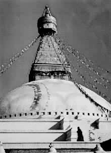 �������ظ@�²�