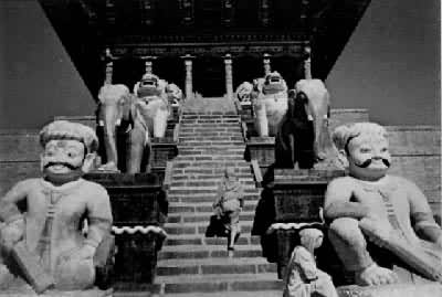 ��Ү�²�������