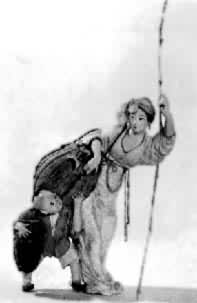 �����٣�����顷