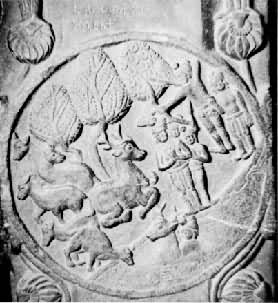 ��³³������