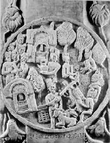 ���o԰��ʩ��