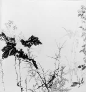 ��������ɽ����