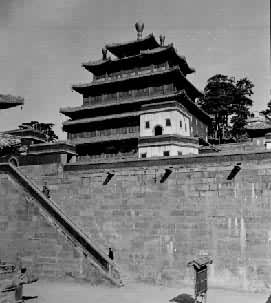 �����´�˸�