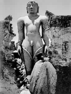 ����Ħ��ϣ�߶�����981��