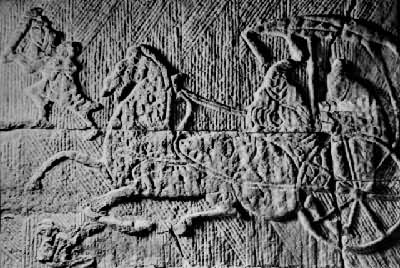 ������ά������������ʯ