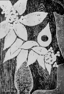 ի���壺�����ӡ�