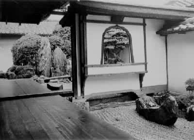 ����´���Ժͥ԰