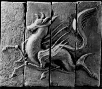 �ϳ�����ש��������