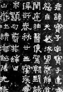 ���౦�ӱ�����������