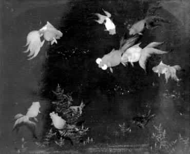 ��������㡷