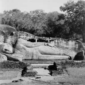 ٤���µ������Է���