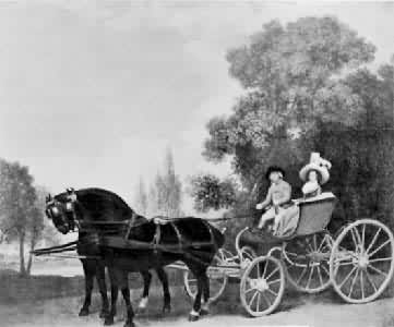 �������е���ʿ�ͷ��ˡ�