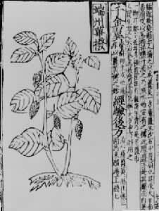 ����ʷ���౸�����ݡ���ͼ