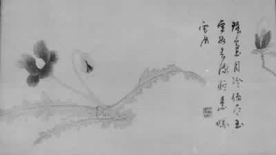 ���ٻ�ͼ�������֣�