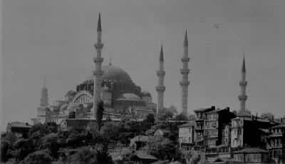 ��˹̹������������������