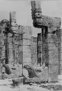 ��ʿ�����ڵ�����