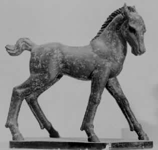 ��С����