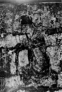 ������С���������֣�