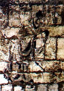 ��������Ĺ�ڻ����������ܡ�