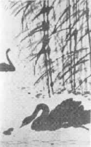 ������졷