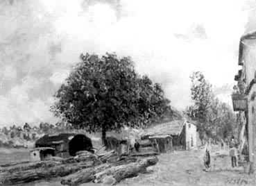 ��ľ�ϳ���