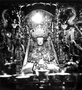 ����Ĳ���񣨴����£�