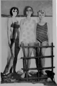 ��˹��������ʽ�ĳ�����