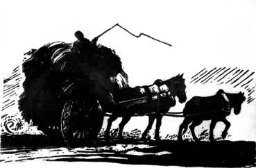 ��Ԫ�����˲ݡ�