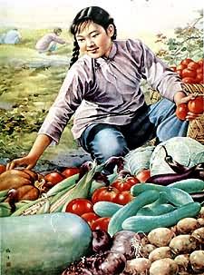 �����̹Ϸʲ����ࡷ