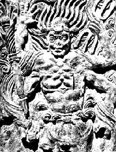 ����������ʿ��