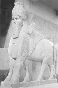 ���������ſڻ�������