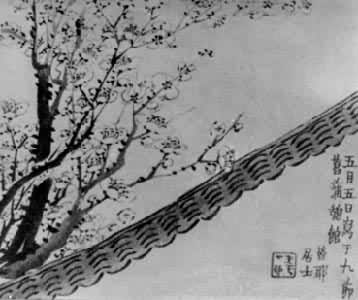 ��ũ������ǽ÷����