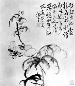 ���W���������