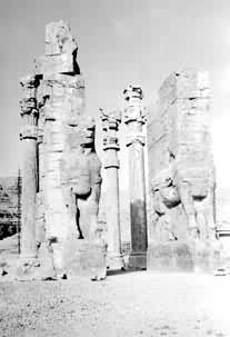 ����ʿ������ַ