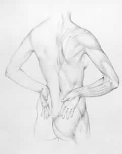 �������ɼ���