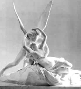 ��ŵ�ߣ����������顷