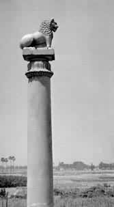 ��ȸ����ʱ��ɰʯ������������ʯ��