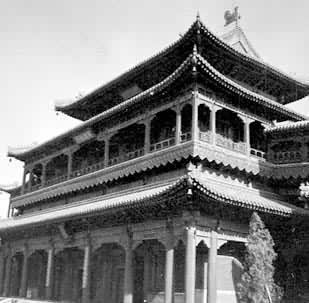 Ӻ�͹�����