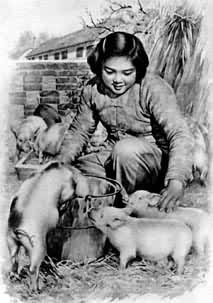 ��÷�������������