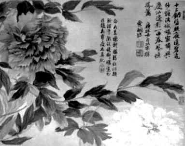 ��ɽˮ���ܡ�ĵ����