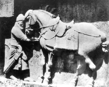 ��������֮һ�����¶�ϡ�