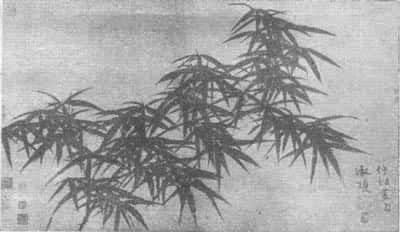 �ܵ�������ī��ͼ��