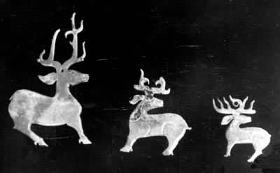 ����¹������