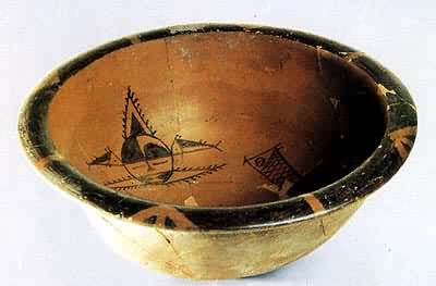 �������Ʋ�����