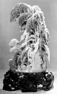 �㽭����ʯ��