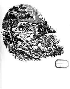 ��ľ������������