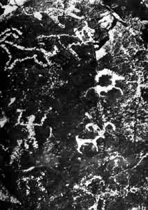 ���ɹ���ɽ�һ�