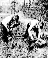 ������˹�����ڽ�����¹